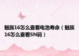 魅族16怎么查看电池寿命（魅族16怎么查看SN码）