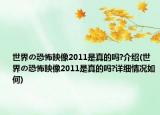 世界の恐怖映像2011是真的吗?介绍(世界の恐怖映像2011是真的吗?详细情况如何)