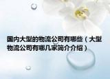国内大型的物流公司有哪些（大型物流公司有哪几家简介介绍）
