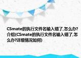 CSmate的执行文件名输入错了,怎么办?介绍(CSmate的执行文件名输入错了,怎么办?详细情况如何)
