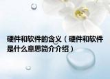 硬件和软件的含义（硬件和软件是什么意思简介介绍）
