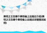 奥特之王在哪个奥特曼上出现过介绍(奥特之王在哪个奥特曼上出现过详细情况如何)