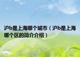 沪b是上海哪个城市（沪b是上海哪个区的简介介绍）