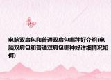 电脑双肩包和普通双肩包哪种好介绍(电脑双肩包和普通双肩包哪种好详细情况如何)