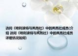 请问《哈利波特与凤凰社》中的凤凰社成员(介绍 请问《哈利波特与凤凰社》中的凤凰社成员  详细情况如何)
