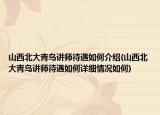 山西北大青鸟讲师待遇如何介绍(山西北大青鸟讲师待遇如何详细情况如何)