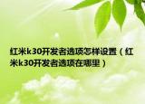 红米k30开发者选项怎样设置（红米k30开发者选项在哪里）