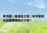 林书豪一夜成名之战（林书豪成名战是哪场简介介绍）
