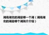 湖南湖北的湖是哪一个湖（湖南湖北的湖是哪个湖简介介绍）