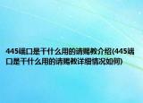 445端口是干什么用的请赐教介绍(445端口是干什么用的请赐教详细情况如何)