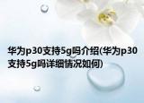 华为p30支持5g吗介绍(华为p30支持5g吗详细情况如何)