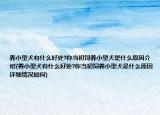 养小型犬有什么好处?你当初饲养小型犬是什么原因介绍(养小型犬有什么好处?你当初饲养小型犬是什么原因详细情况如何)