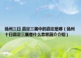 扬州三日 嘉定三屠中的嘉定是哪（扬州十日嘉定三屠是什么意思简介介绍）