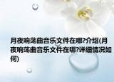 月夜响荡曲音乐文件在哪?介绍(月夜响荡曲音乐文件在哪?详细情况如何)