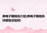 养鸭子赚钱吗介绍(养鸭子赚钱吗详细情况如何)