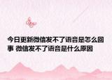 今日更新微信发不了语音是怎么回事 微信发不了语音是什么原因