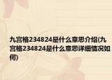 九宫格234824是什么意思介绍(九宫格234824是什么意思详细情况如何)