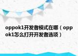 oppok1开发者模式在哪（oppok1怎么打开开发者选项）