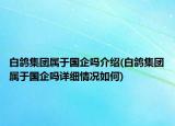 白鸽集团属于国企吗介绍(白鸽集团属于国企吗详细情况如何)