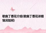 歌曲丁香花介绍(歌曲丁香花详细情况如何)