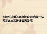 肉装小法师怎么出装介绍(肉装小法师怎么出装详细情况如何)