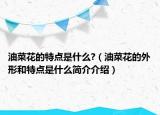 油菜花的特点是什么?（油菜花的外形和特点是什么简介介绍）