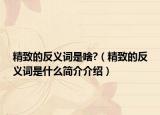 精致的反义词是啥?（精致的反义词是什么简介介绍）