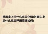 甚嚣尘上是什么意思介绍(甚嚣尘上是什么意思详细情况如何)