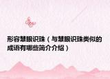 形容慧眼识珠（与慧眼识珠类似的成语有哪些简介介绍）