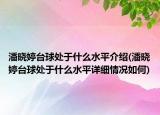 潘晓婷台球处于什么水平介绍(潘晓婷台球处于什么水平详细情况如何)