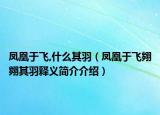 凤凰于飞,什么其羽（凤凰于飞翙翙其羽释义简介介绍）