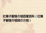 红娘子剧情介绍百度百科（红娘子剧情介绍简介介绍）