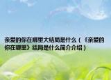 亲爱的你在哪里大结局是什么（《亲爱的你在哪里》结局是什么简介介绍）