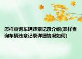 怎样查询车辆违章记录介绍(怎样查询车辆违章记录详细情况如何)