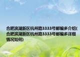 合肥滨湖新区杭州路3333号邮编多介绍(合肥滨湖新区杭州路3333号邮编多详细情况如何)