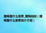 搜噶是什么意思_搜狗问问（搜噶是什么意思简介介绍）