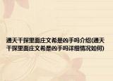 通天干探里面庄文希是凶手吗介绍(通天干探里面庄文希是凶手吗详细情况如何)