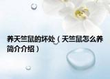 养天竺鼠的坏处（天竺鼠怎么养简介介绍）