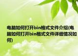 电脑如何打开bin格式文件介绍(电脑如何打开bin格式文件详细情况如何)