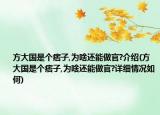 方大国是个痞子,为啥还能做官?介绍(方大国是个痞子,为啥还能做官?详细情况如何)