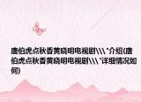 唐伯虎点秋香黄晓明电视剧\
