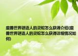 魔兽世界谜语人的灵蛇怎么获得介绍(魔兽世界谜语人的灵蛇怎么获得详细情况如何)