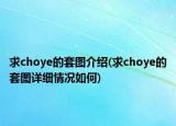 求choye的套图介绍(求choye的套图详细情况如何)