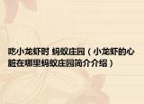 吃小龙虾时 蚂蚁庄园（小龙虾的心脏在哪里蚂蚁庄园简介介绍）