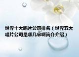 世界十大唱片公司排名（世界五大唱片公司是哪几家啊简介介绍）
