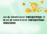 exo-的《what(is love》中哪句是世贤唱的~介绍 exo-的《what is love》中哪句是世贤唱的~详细情况如何)