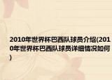 2010年世界杯巴西队球员介绍(2010年世界杯巴西队球员详细情况如何)