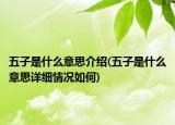 五子是什么意思介绍(五子是什么意思详细情况如何)