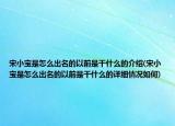 宋小宝是怎么出名的以前是干什么的介绍(宋小宝是怎么出名的以前是干什么的详细情况如何)