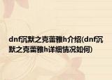 dnf沉默之克蕾雅h介绍(dnf沉默之克蕾雅h详细情况如何)